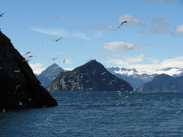 28 - Alaska 2010 410